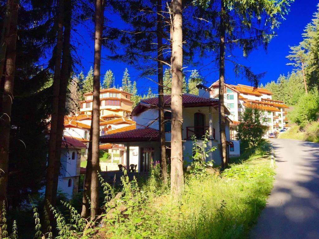 بامبوروفو Forest Glade-Апартаменти И Стаи За Гости المظهر الخارجي الصورة