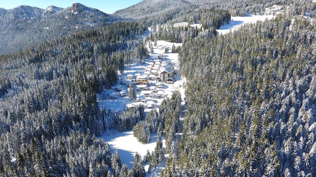 بامبوروفو Forest Glade-Апартаменти И Стаи За Гости المظهر الخارجي الصورة